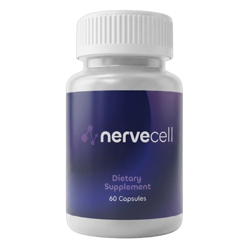 NerveCell 