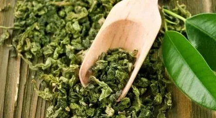 Green Tea Extract