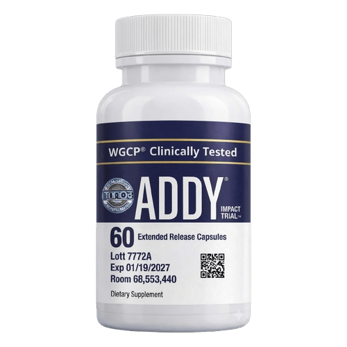 Addy Brain Function