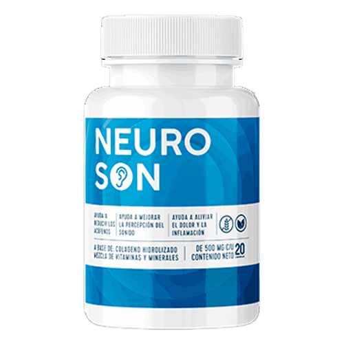 Neuroson
